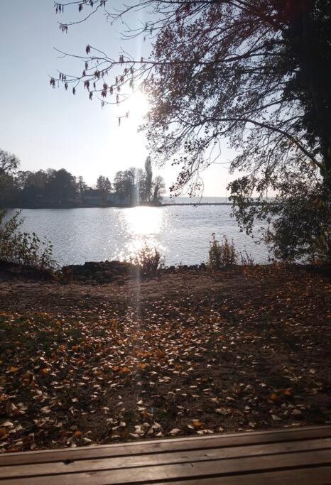 Lieblingsplatz Apartement Am Steinhuder Meer Wunstorf Exteriör bild